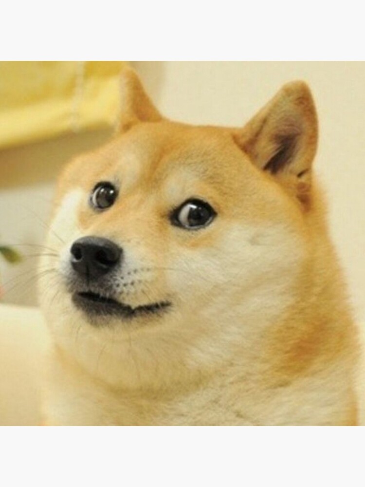 Doge vs Elon Musk